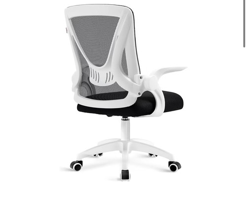 Blisswood office mesh chair - mesh,